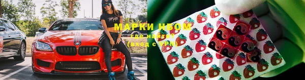 сатива Белокуриха