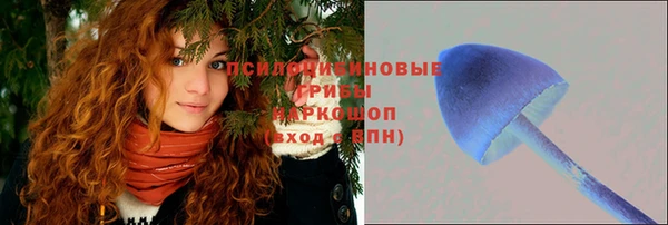 сатива Белокуриха