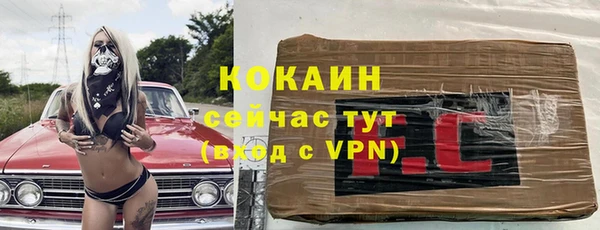 дживик Балахна
