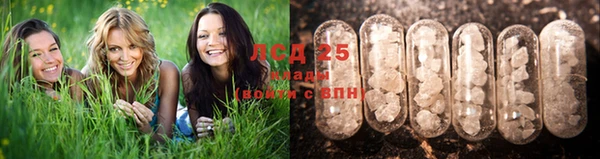 apvp Белоозёрский