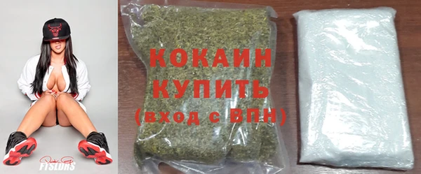 дживик Балахна