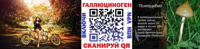 Псилоцибиновые грибы Cubensis  Верхний Тагил 